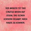 Familie Sprueche Familienspruch Der Mensch Ist Das Einzige Wesen Auf Erden...