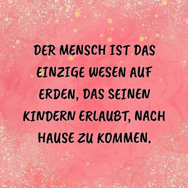 Familie Sprüche Der Mensch ist das einzige Wesen auf Erden