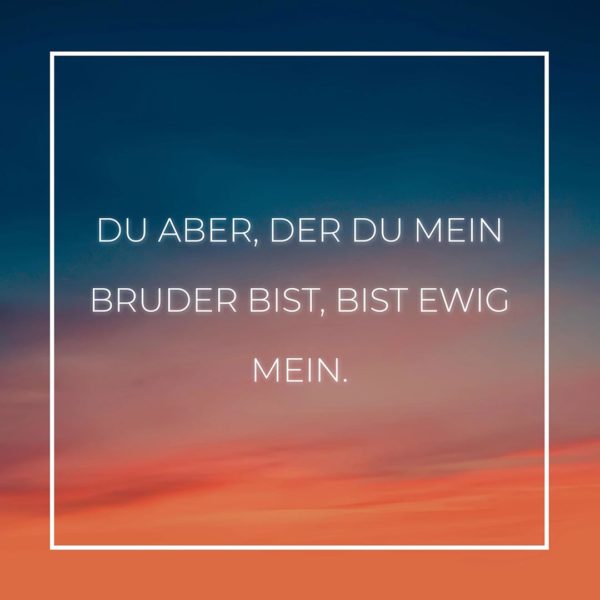 Familie Sprüche Du aber der du mein Bruder bist… Familie Zitate