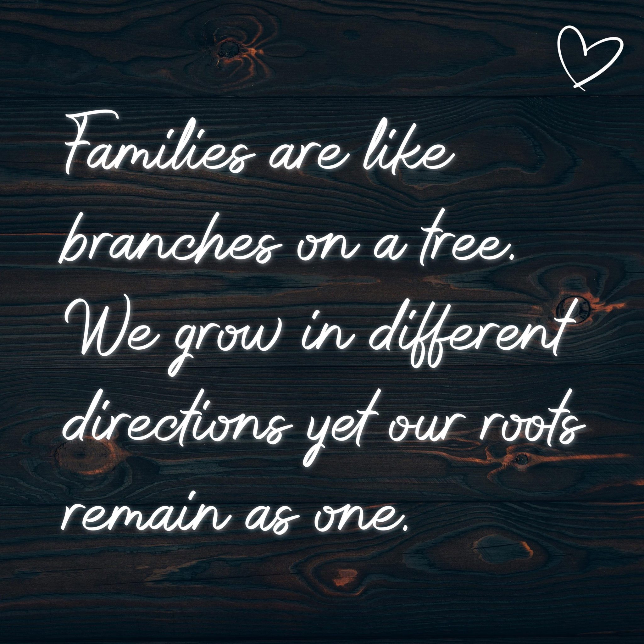 💖 Familie Sprüche Englisch Families are like branches on a tree