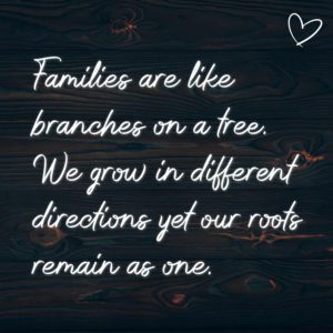 Familie Sprüche Englisch Families are like branches on a tree