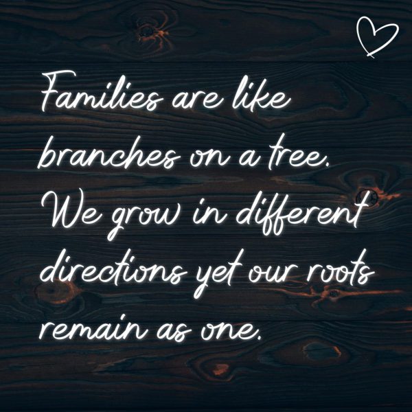 Familie Sprüche Englisch Families are like branches on a tree