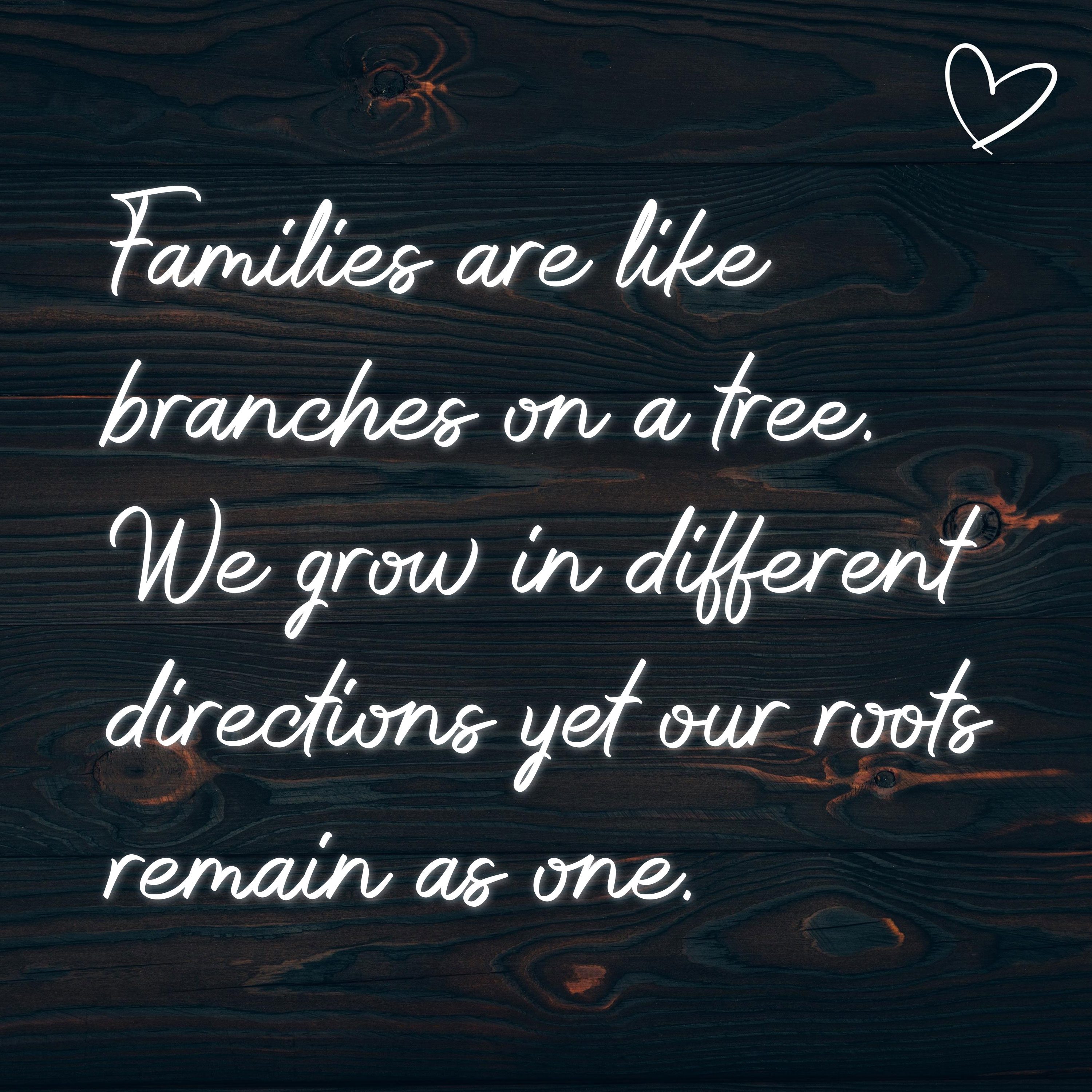 Familie Sprüche Englisch Families are like branches on a tree